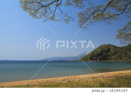 春の磐梯山と猪苗代湖 16284197