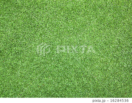 Golf Courses green lawn 16284536