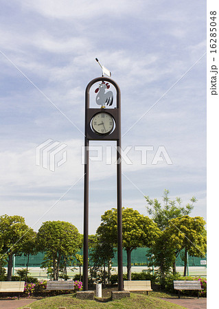 小菅東スポーツ公園の時計の写真素材