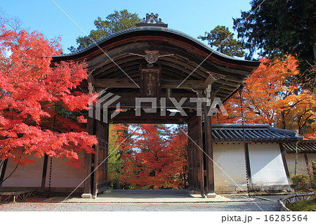 京都 二尊院（勅使門） 16285564