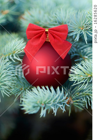 Red Christmas bauble on a fir tree 16285620