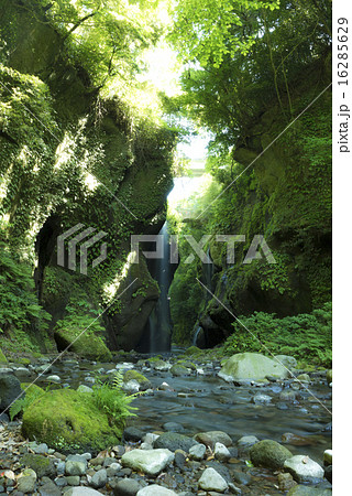 由布川渓谷 由布川渓谷 16285629