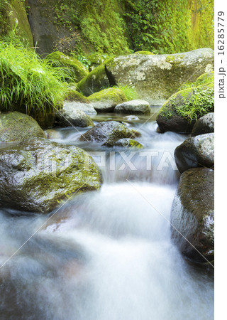 渓流 16285779