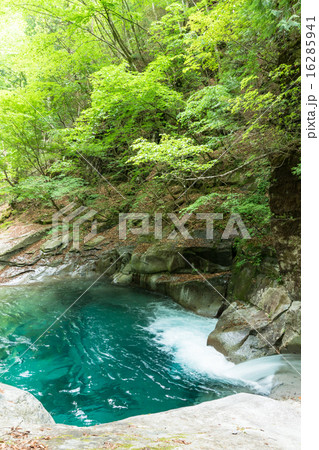 西沢渓谷の清流 西沢渓谷の清流 16285941