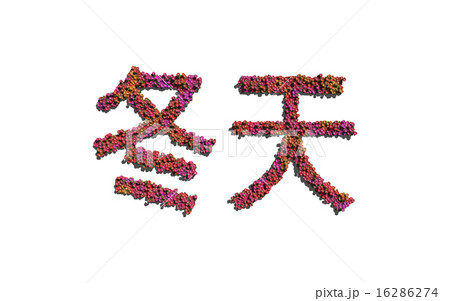 winter chinese text flower with white background winter chinese text flower with white background 16286274