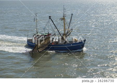 Dutch fishing boat on UNESCO protected Waddenzee 16286730