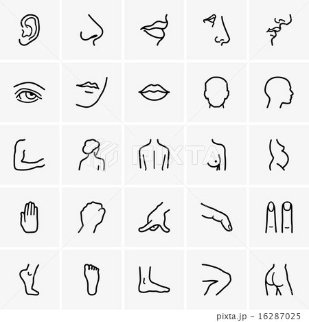 Human body parts  16287025