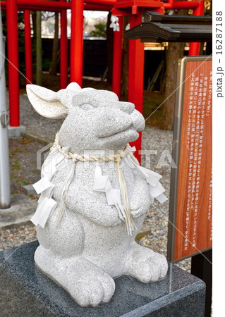 神兎　なでうさぎ 16287188