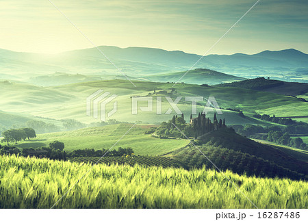 Early spring morning in Tuscany, Italy 16287486