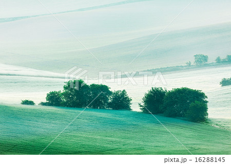 Rolling landscape of  South Moravia in the morning 16288145