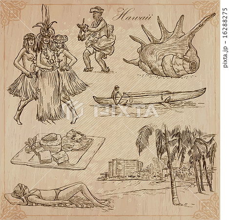 Hawaii - Travel. An hand drawn vectors. Hawaii - Travel. An hand drawn vectors. 16288275