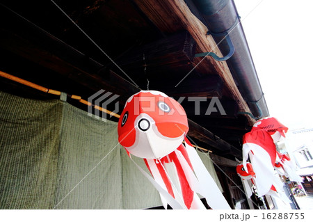 金魚ちょうちん 金魚ちょうちん 16288755