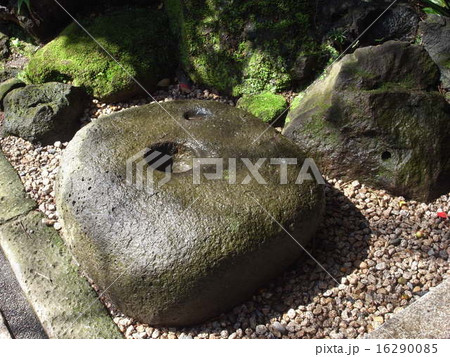 報国寺 地面の石 報国寺 地面の石 16290085