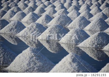 Salt Mine in Salt farm and reflections 16291193