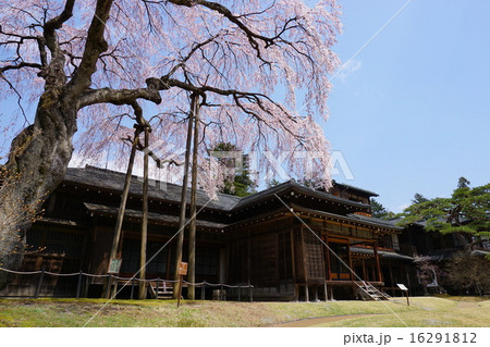 春の日光田母沢御用邸　満開のしだれ桜 16291812