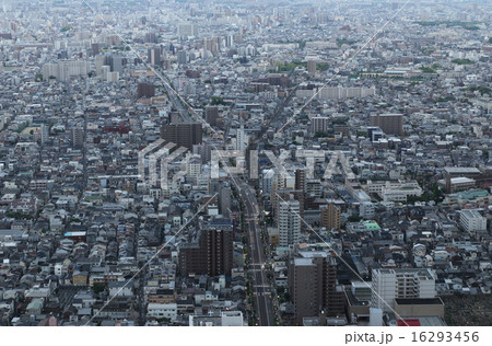 あべのハルカスより見る夜明けの大阪の街並み「あべの筋」 あべのハルカスより見る夜明けの大阪の街並み「あべの筋」 16293456