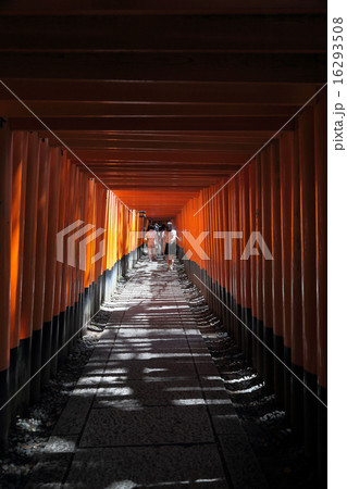 伏見稲荷大社「千本鳥居」 16293508