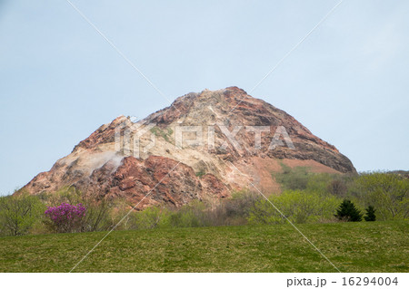 昭和新山 16294004