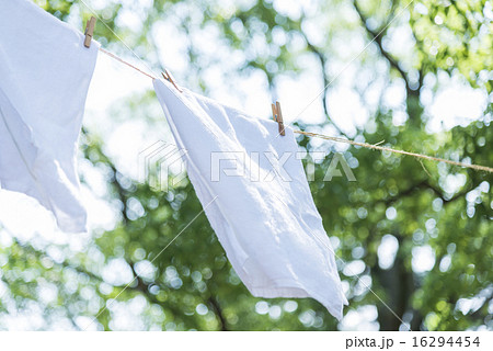 爽やかな洗濯のイメージ　タオル 16294454