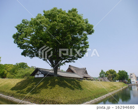 足利学校 16294680