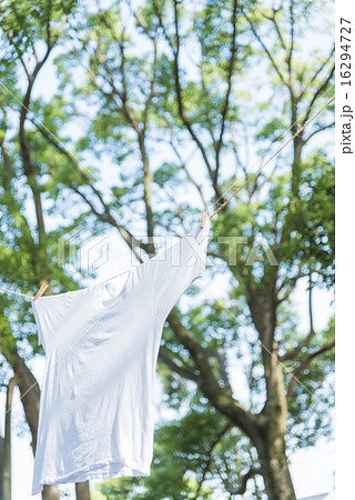 爽やかな洗濯のイメージ　Tシャツ 16294727