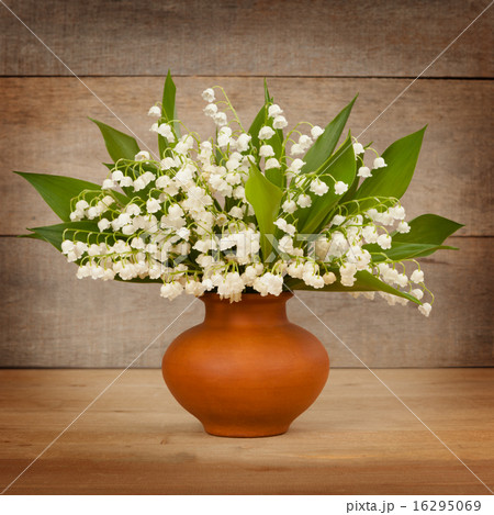 Beautiful lily of the valley Beautiful lily of the valley 16295069