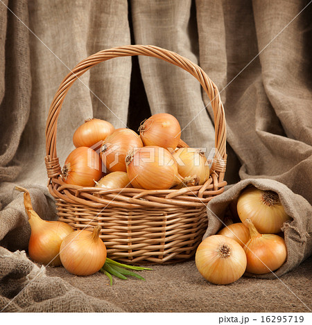 The beautiful and ripe onions in a basket 16295719