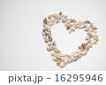 貝殻でできたハート 16295946