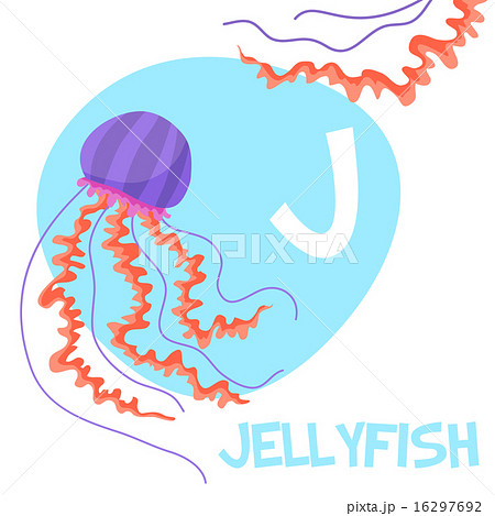 Funny cartoon animals vector alphabet letter set for kids. J is Jellyfish   16297692