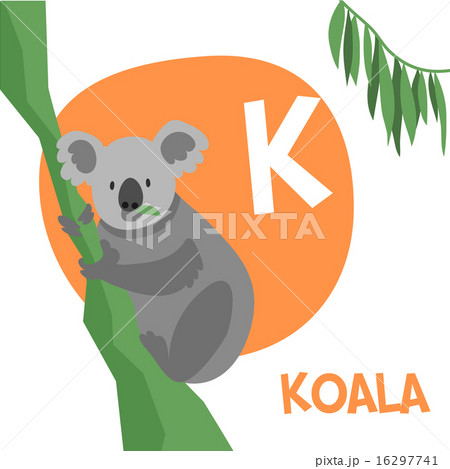 Funny cartoon animals vector alphabet letter set for kids. K is Koala. Funny cartoon animals vector alphabet letter set for kids. K is Koala. 16297741