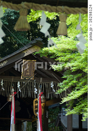野宮神社　本殿 16298124