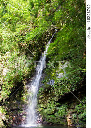 祖谷のかずら橋　琵琶の滝 16298799
