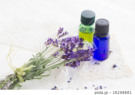 ラベンダー ラベンダー 16298881