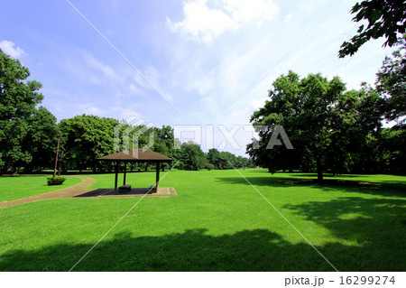 野川公園 16299274