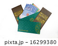 Duit raya isolated on white background 16299380