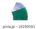Duit raya isolated on white background 16299381