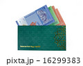 Duit raya isolated on white background 16299383