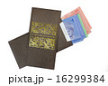 Duit raya isolated on white background 16299384