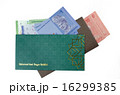Duit raya isolated on white background 16299385