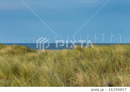 風力発電　 Wind-generated electricity in Denmark 16299857
