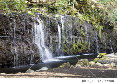 箱根　千条ノ滝 16299906
