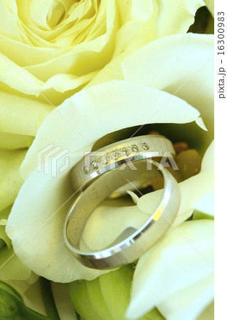 Wedding rings on rose 16300983