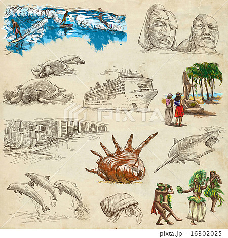 Hawaii - Hand drawn illustrations on paper 16302025