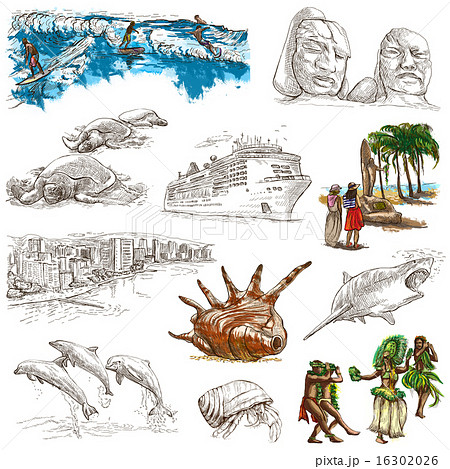 Hawaii - Hand drawn illustrations on white 16302026