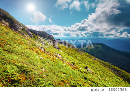 Mountain range  in summer 16302568