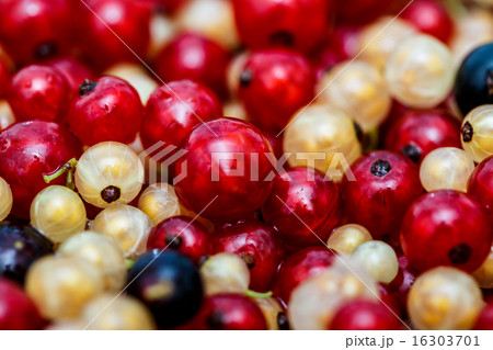 Close up white or yellow, red, black currant Close up white or yellow, red, black currant 16303701