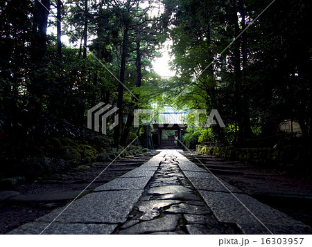 寿福寺の参道 寿福寺の参道 16303957