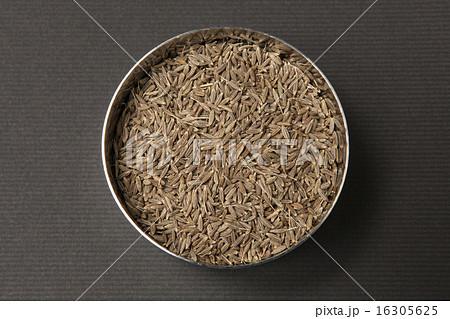 スパイス キャラウェイ ホール シンプル・黒バックの写真 16305625