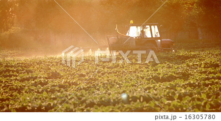 Agriculture soybean field spraying Agriculture soybean field spraying 16305780