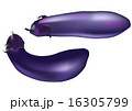 茄子イラスト 16305799